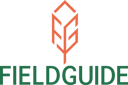FieldGuide IT Logo